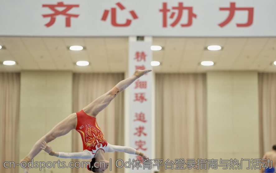 Od体育平台登录指南与热门活动