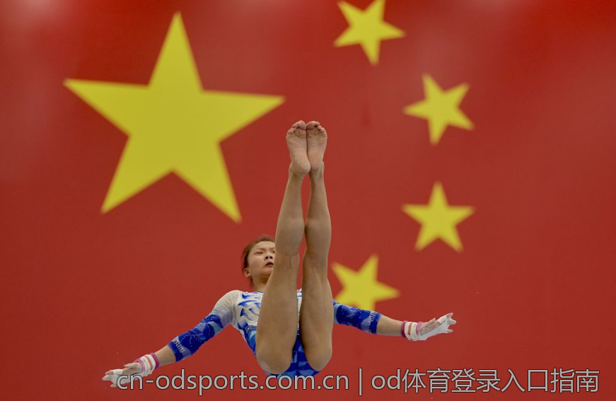 od体育登录入口指南