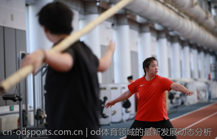 od体育领域的最新发展动态分析