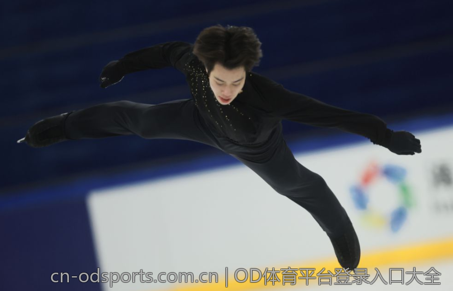 OD体育平台登录入口大全