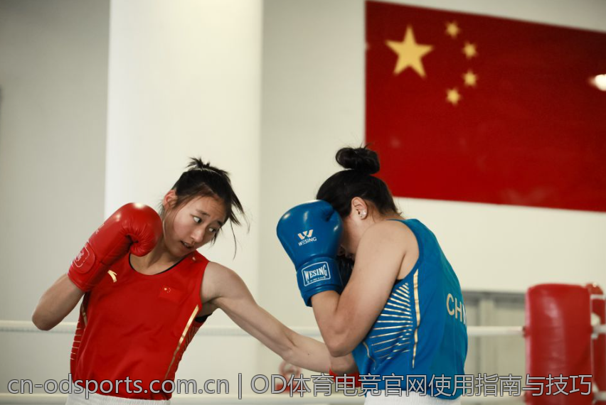 OD体育电竞官网使用指南与技巧